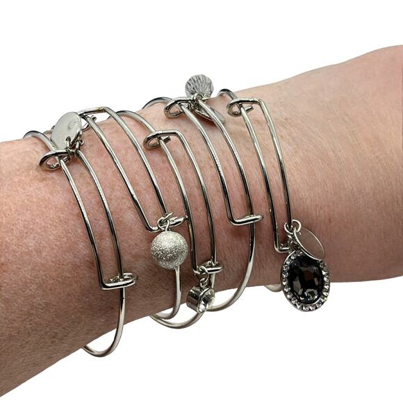Christopher and Banks Bracelet Set Women's Silver Tone Five with Charms In Box - Picture 1 of 11